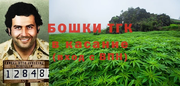 прущие грибы Абинск