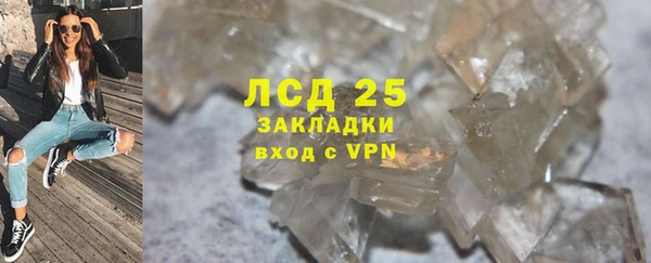 прущие грибы Абинск