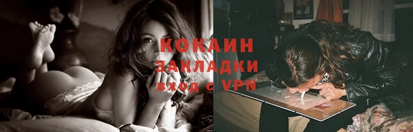 прущие грибы Абинск