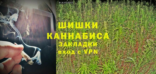 прущие грибы Абинск
