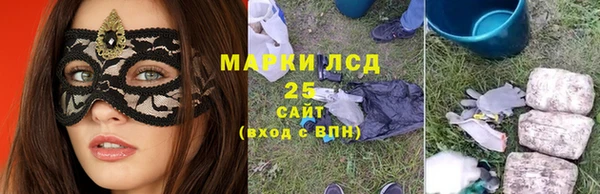 прущие грибы Абинск
